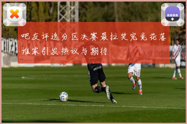 吧友评选分区决赛最拉奖究竟花落谁家引发热议与期待