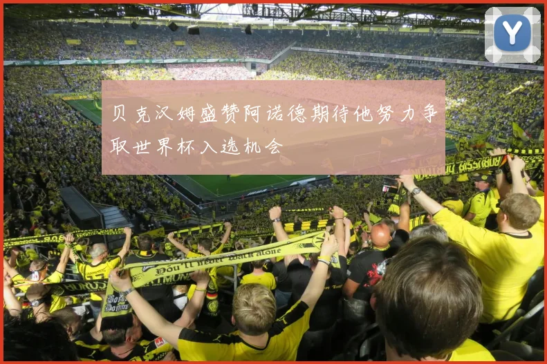 贝克汉姆盛赞阿诺德期待他努力争取世界杯入选机会