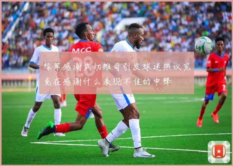 绿军感谢武切维奇引发球迷热议究竟在感谢什么表现不佳的中锋
